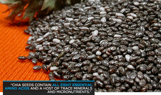 super-seed-the-case-for-chia_b2